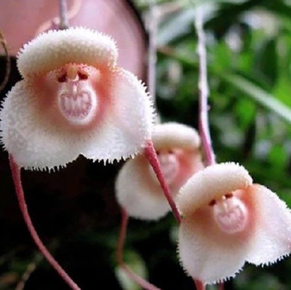 Meet your Posher, Scott - Picture 1 of 1